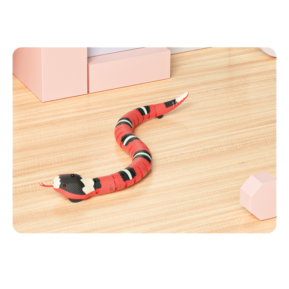Fun Snake Cat Toy